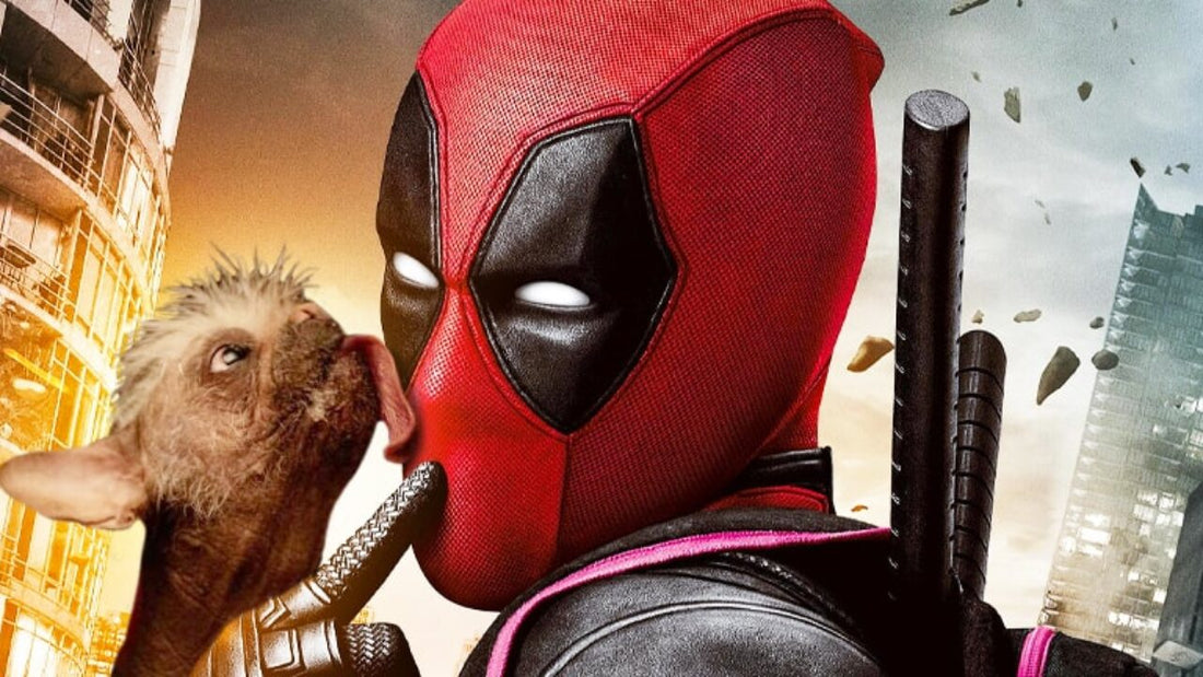 Xcoser Deadpool 3 Der ultimative Wade Wilson-Anzug für Cosplay-Superfans